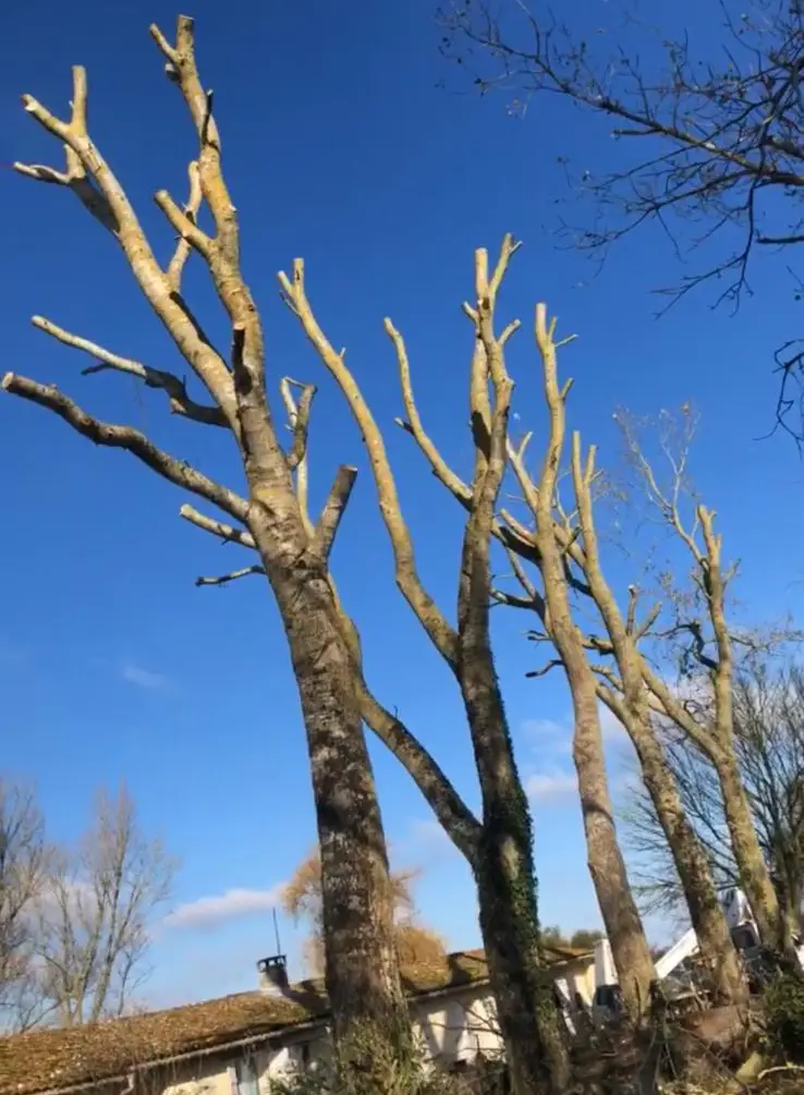 Réalisation Réalisation