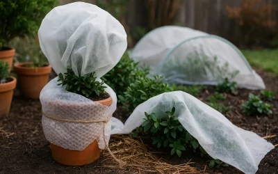 Comment protéger plantes gel : guide complet jardin