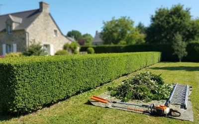 Taille de haie : prix à l&rsquo;heure et tarifs 2026