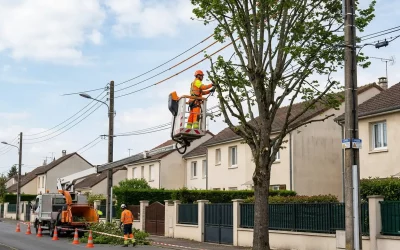 Élagage près des lignes électriques : règles et intervenants